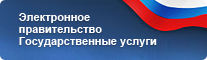 Электронное правительство Государственные услуги